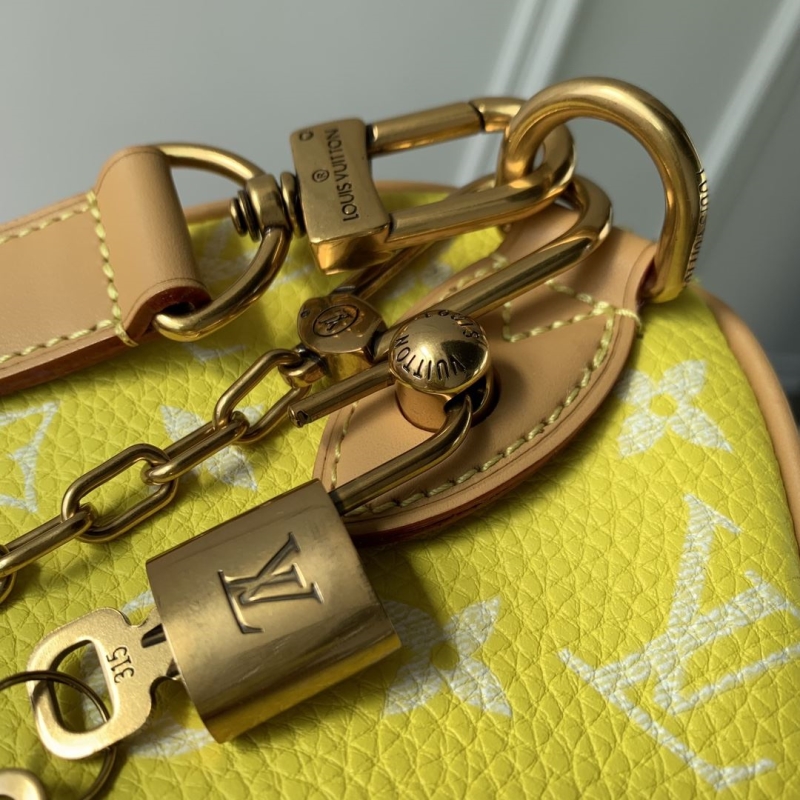 LV Travel Bags